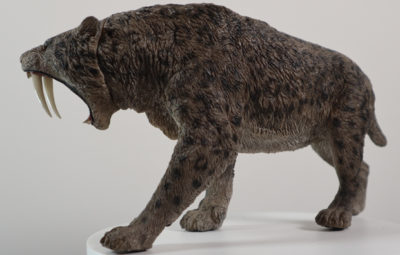 Rebor Smilodon populator Stray Cat (Ice Age)