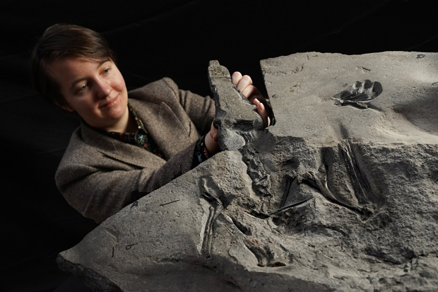 Natalia Jagielska with the pterosaur fossil.