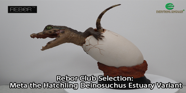 Rebor Club Selection: Meta the Hatchling Deinosuchus Estuary Variant