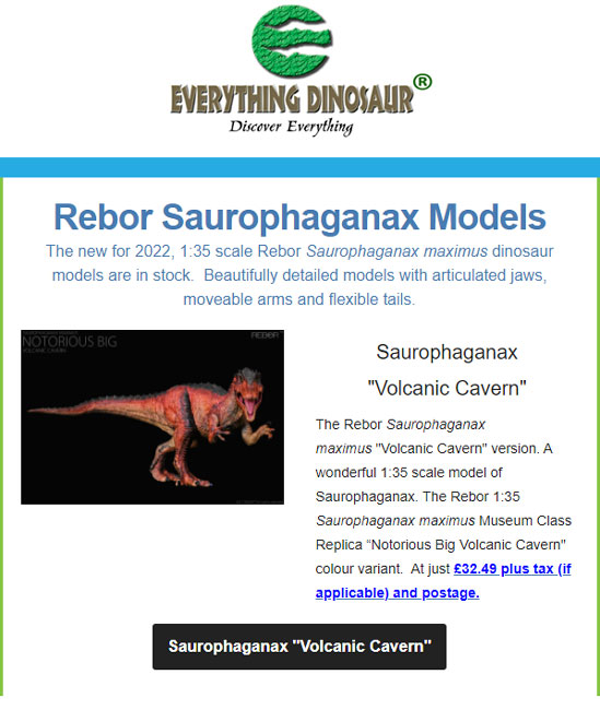 Rebor Saurophaganax "Volcanic Cavern" colour scheme features in an Everything Dinosaur customer newsletter.