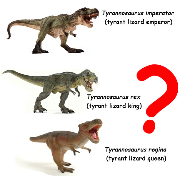 Three Tyrannosaurus species proposed.