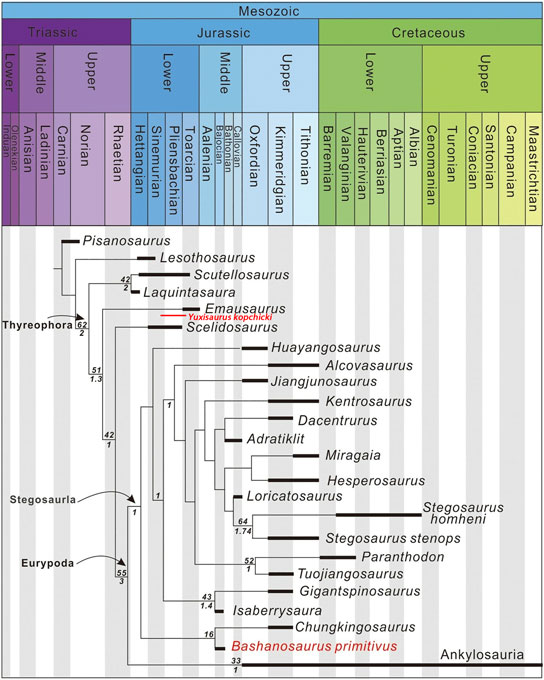 Bashanosaurus phylogeny and comparison with the recently described Yuxisaurus.