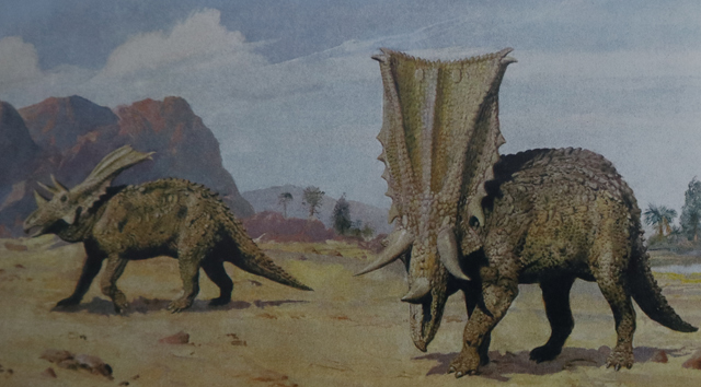 Zdeněk Burian illustrates Chasmosaurus.