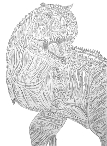 Carnotaurus illustration by Caldey.