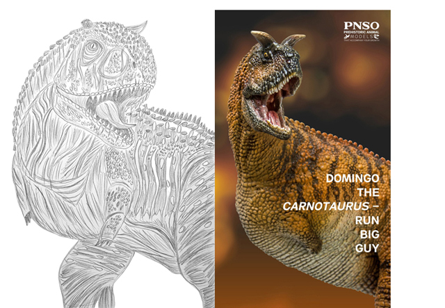 Carnotaurus illustration and the PNSO Carnotaurus model.