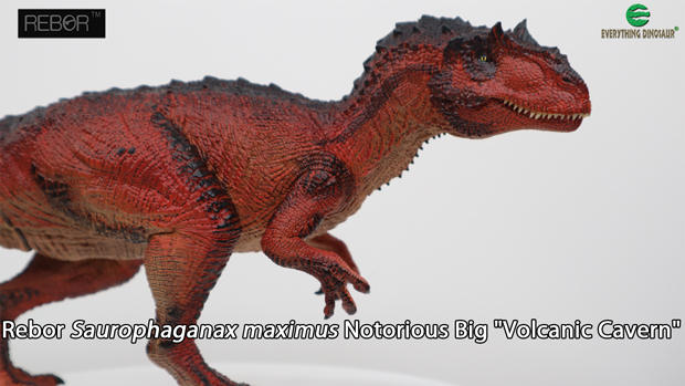 Rebor Saurophaganax in the "Volcanic Cavern" colour scheme, the product video showcase.