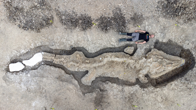 Aerial view of the Rutland ichthyosaur excavation site.
