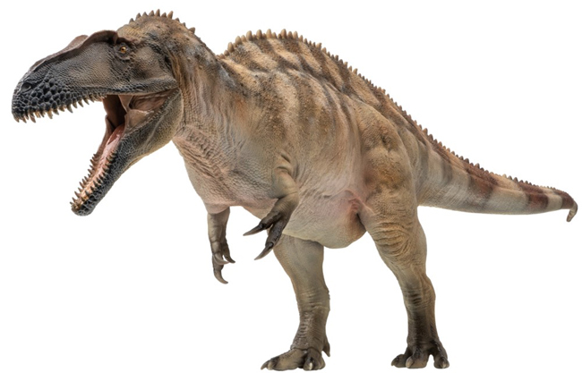 PNSO Fergus the Acrocanthosaurus