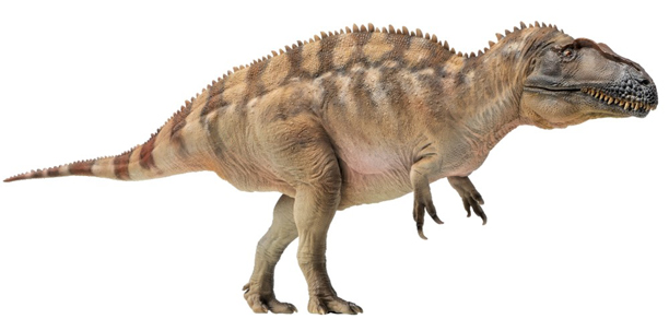 PNSO Fergus the Acrocanthosaurus.