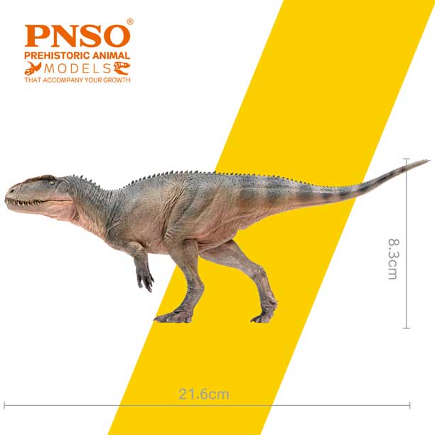 PNSO Xinchuan the Sinraptor model measurements.