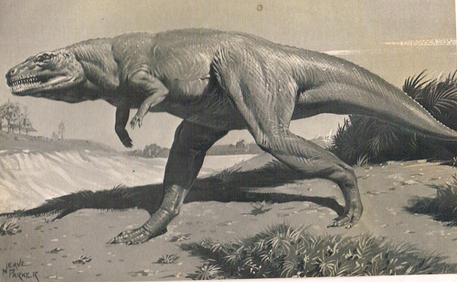 Neave Parker Megalosaurus.