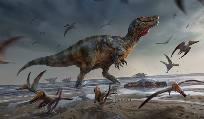 Illustration of White Rock spinosaurid.
