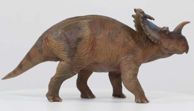 PNSO Centrosaurus model.
