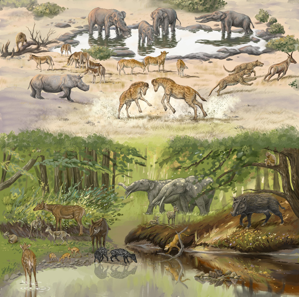 Mammalian Fauna of the Junggar Basin (Miocene)