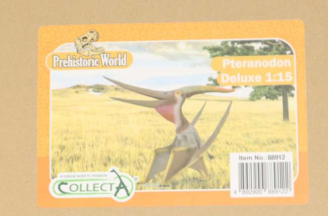 CollectA Pteranodon longiceps box.