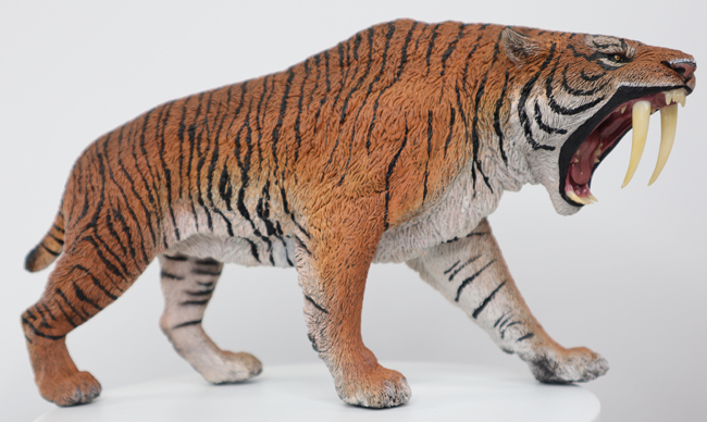 Rebor Smilodon Year of the Tiger model