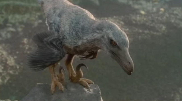 Female Velociraptor from the television series "Prehistoric Planet"
