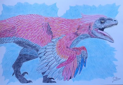 A drawing of a Pyroraptor by Caldey