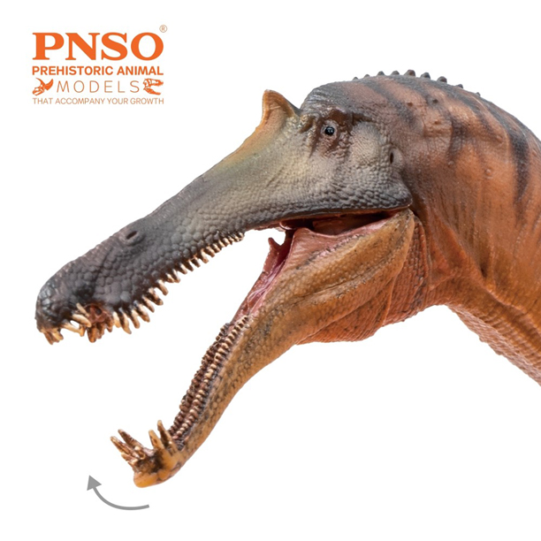 PNSO Chongzuo the Sinopliosaurus has an articulated jaw.