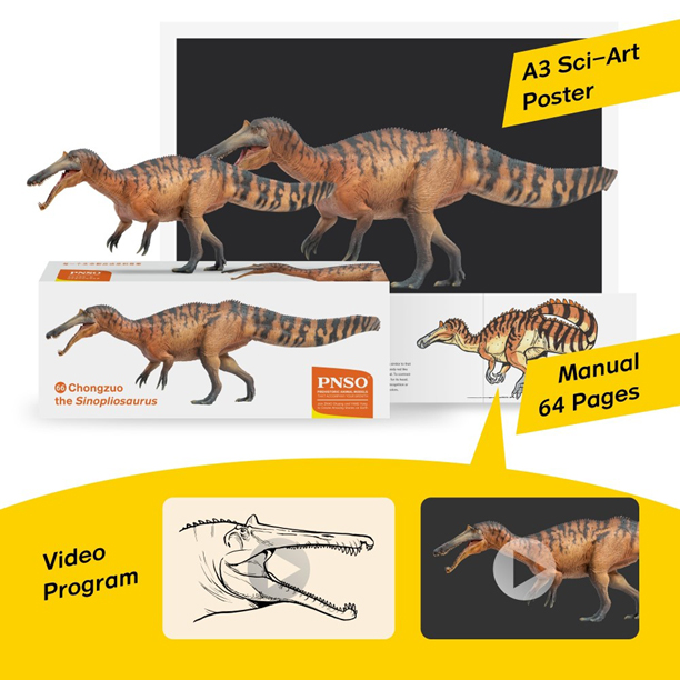 PNSO Sinopliosaurus supplied with poster and booklet.