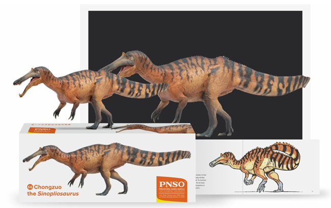 PNSO Sinopliosaurus model.