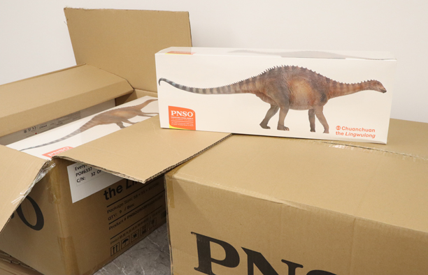 PNSO Chuanchuan the Lingwulong in stock at Everything Dinosaur.