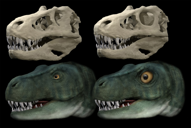 T. rex - what big eyes you've got!