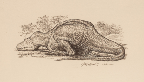 Tyrannosaur resting by John Sibbick