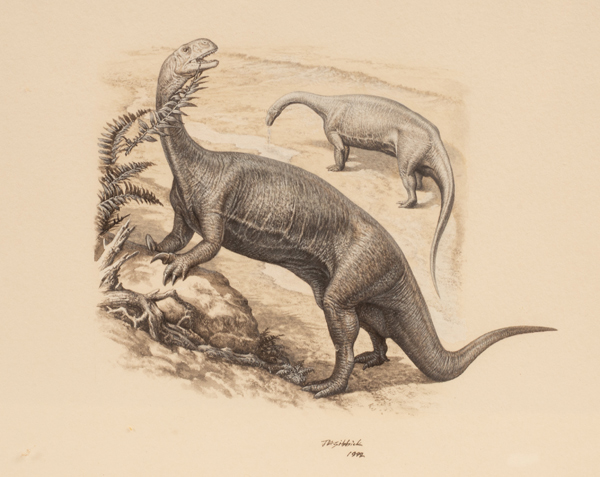 Foraging dinosaurs by John Sibbick