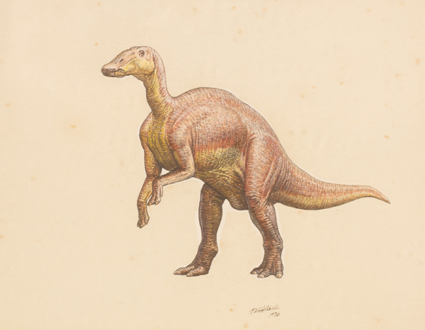 An illustration of the hadrosaurid Mandschurosaurus by John Sibbick.