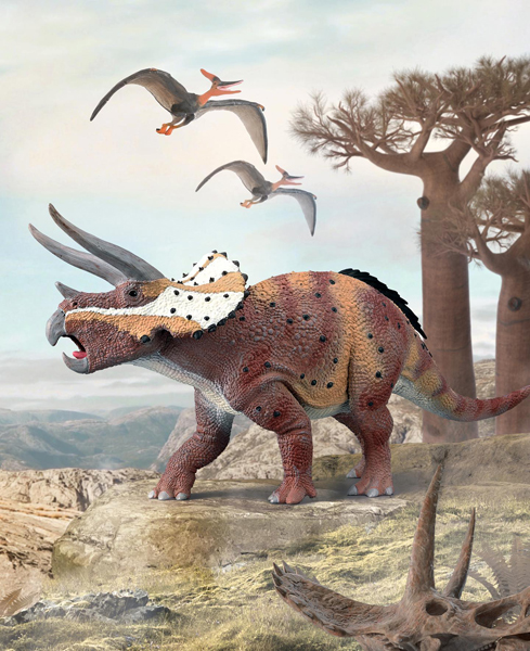 Ceratopsian habitats highlighted by the CollectA Deluxe Triceratops horridus.