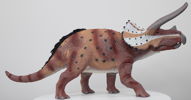 CollectA Triceratops horridus 1:40 scale dinosaur model.