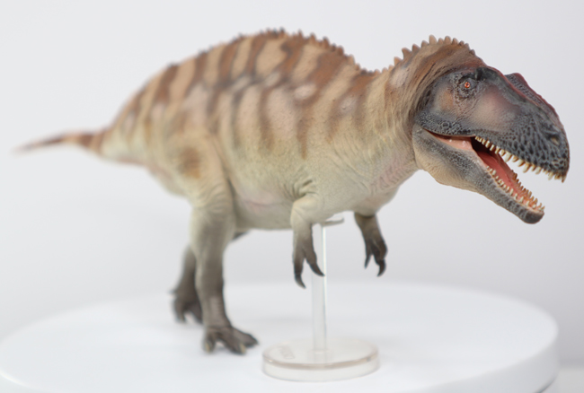 The PNSO Fergus the Acrocanthosaurus dinosaur model with its support stand.