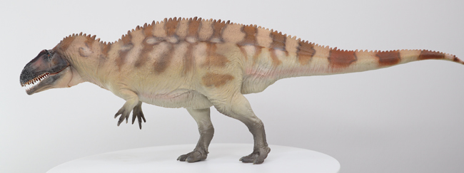 PNSO Acrocanthosaurus in left lateral view.