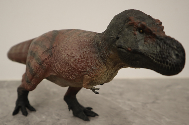 Rebor Kiss Mountain Tyrannosaurus rex model