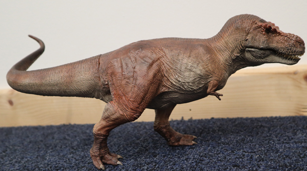 Rebor T. rex Tusk dinosaur model.