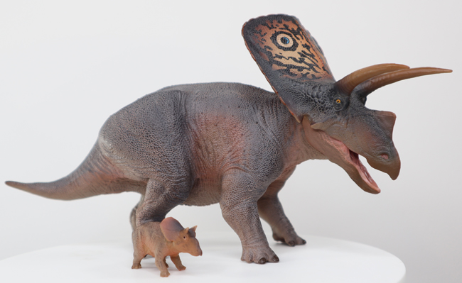 Torosaurus dinosaur models (PNSO)