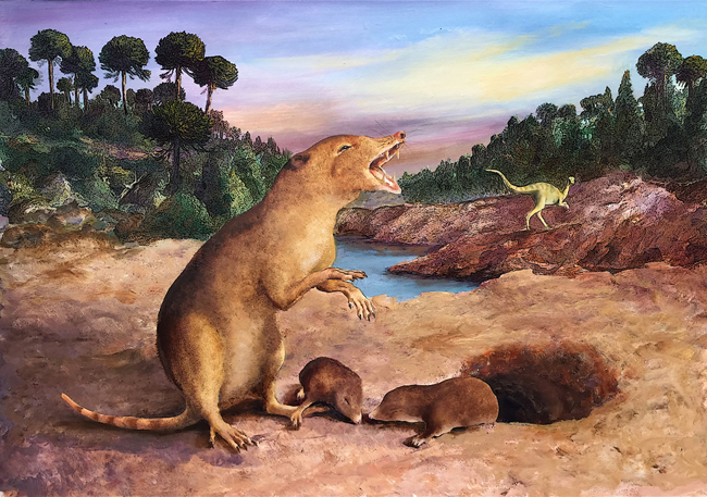 A life reconstruction of the newly described Brasilodon quadrangularis.
