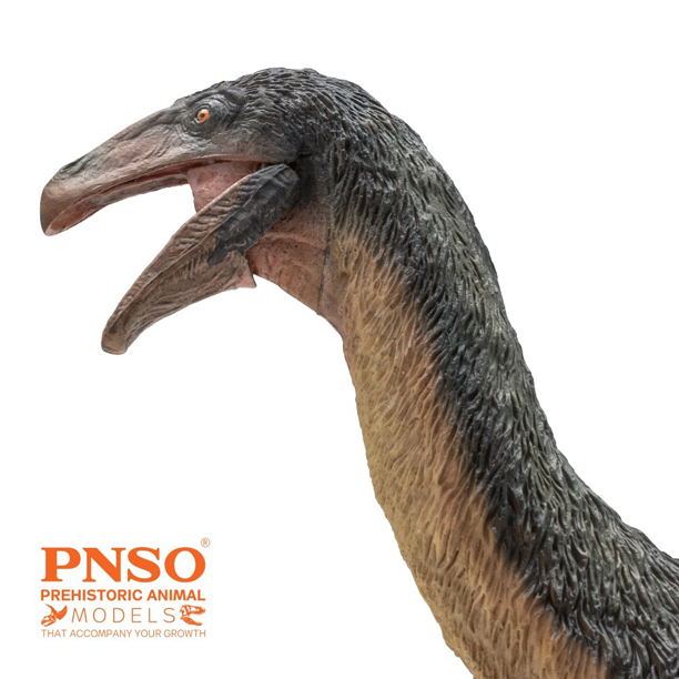 PNSO Qingge the Therizinosaurus - view of the head.
