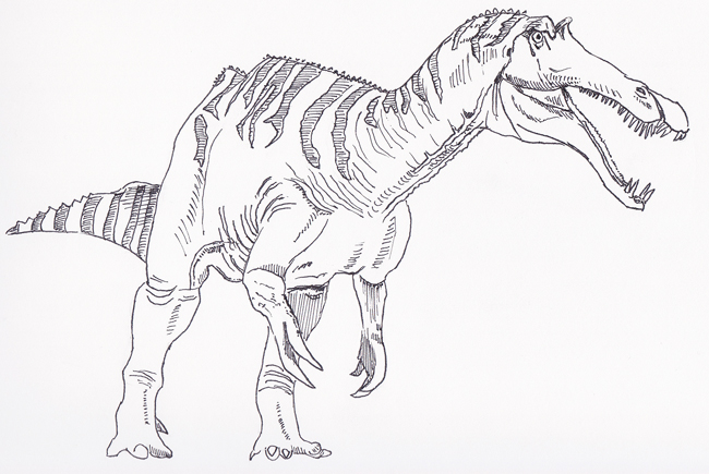 Sinopliosaurus drawing commissioned by Everything Dinosaur