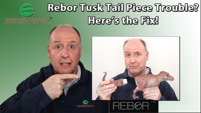 Rebor Tusk T. rex how to insert the tail piece