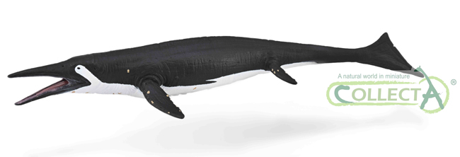 Shastasaurus marine reptile model.