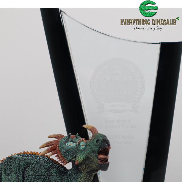 Everything Dinosaur wins award