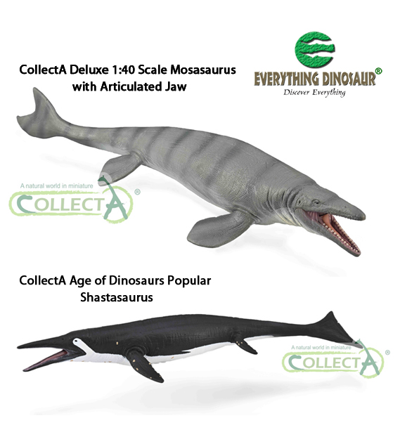 New CollectA Marine Reptile Models