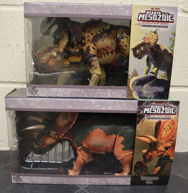 Pachyrhinosaurus and Torosaurus models