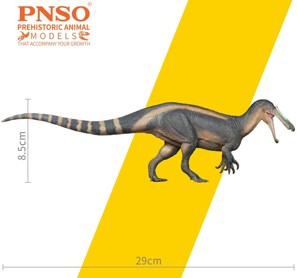 PNSO Suchomimus Model Measurements