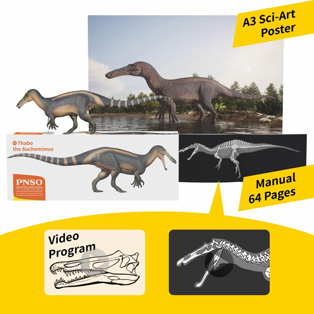 Suchomimus supplies with posters and full-colour booklet