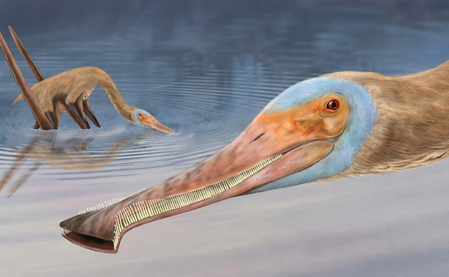Balaenognathus Life Reconstruction