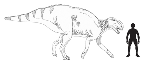 Hadrosaurus scale drawing