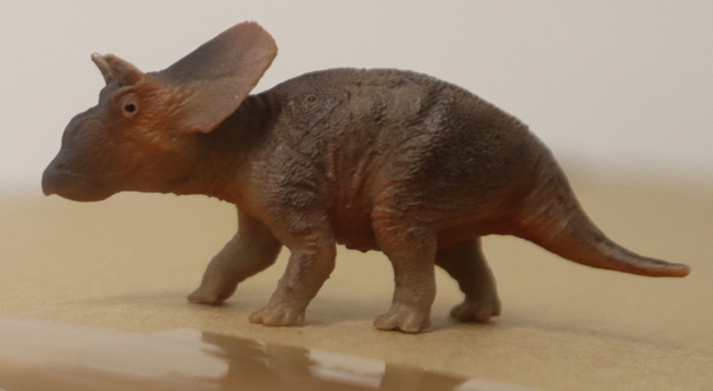 PNSO baby Torosaurus model